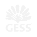 gess_logo